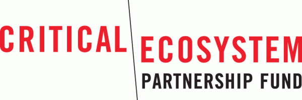 LOGO CEPF